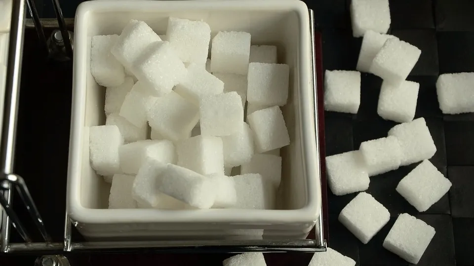 Фото: pxhere.com