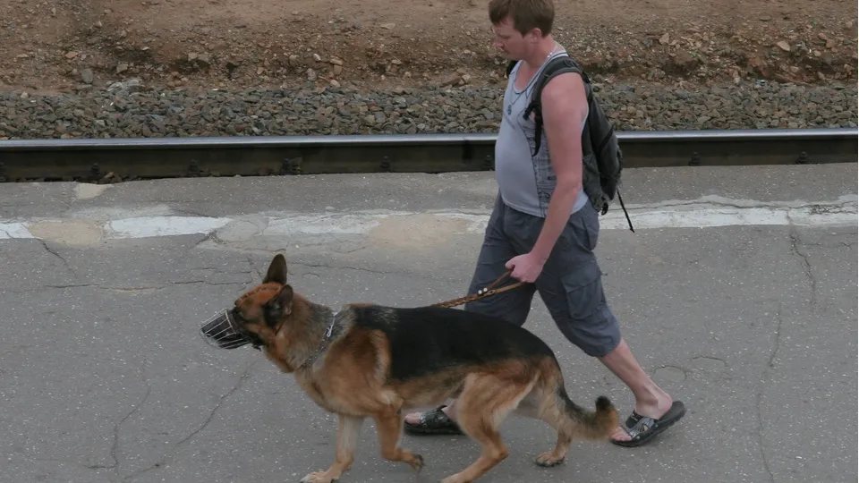 Фото: Анна Буглаева