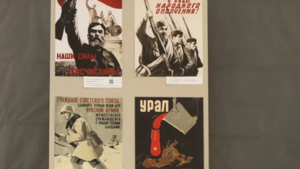 Фото: Анастасия Мушенок