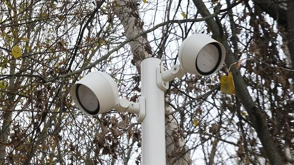 Фото: МедиаБанк Подмосковья/Мария Панина