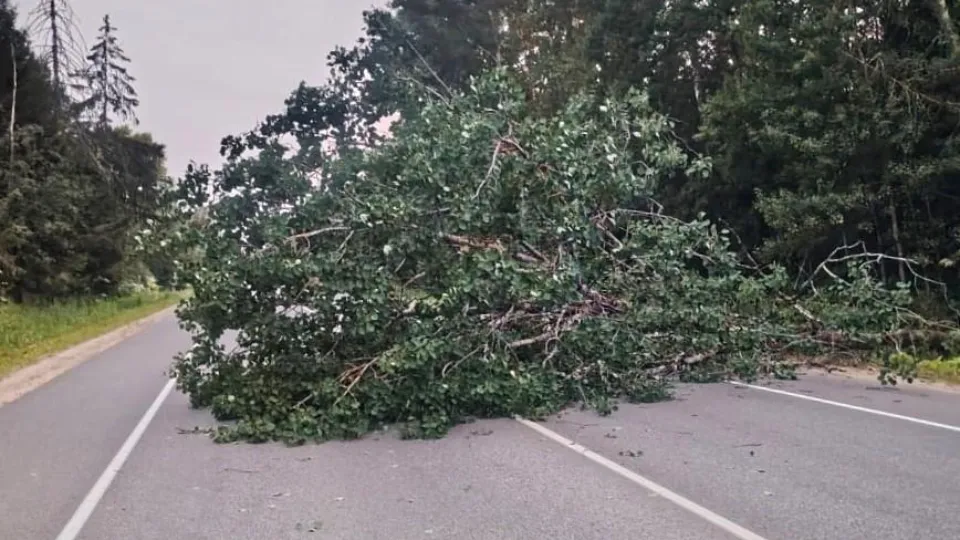 Фото: ГКУ МО «Мособлпожспас»