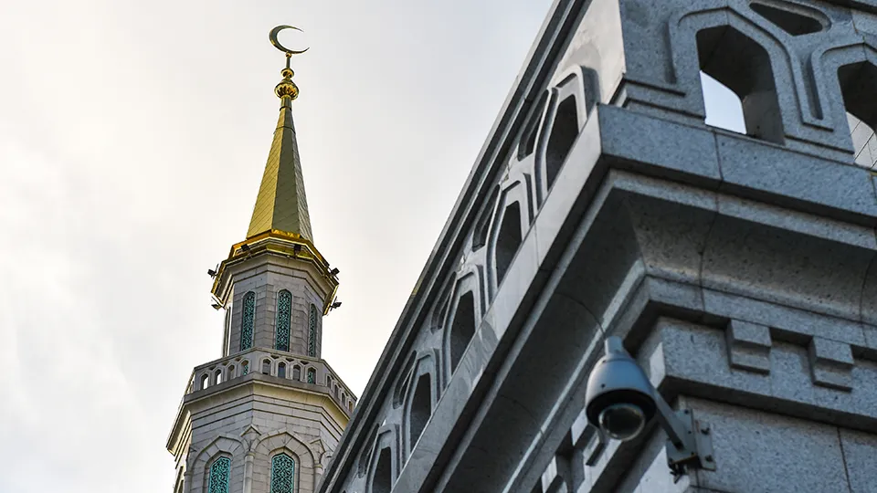 Фото: Медиаархив Подмосковья