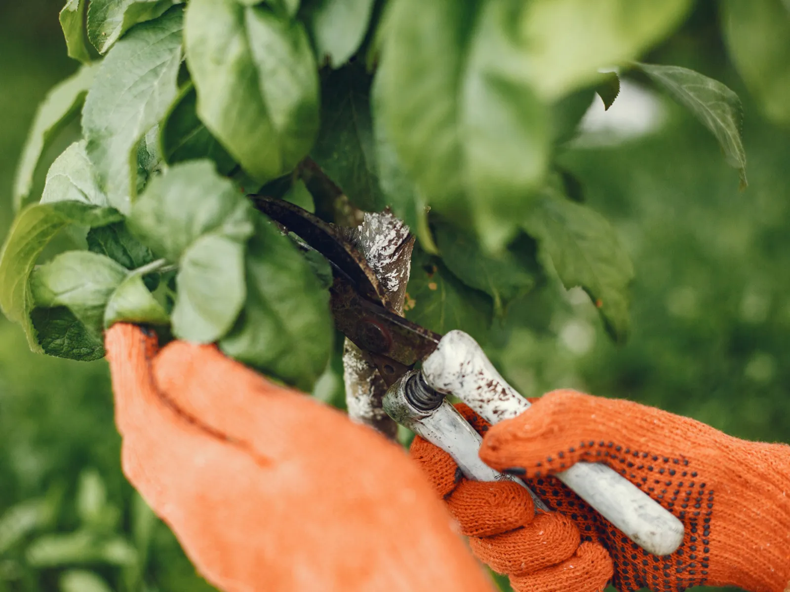 Фото: freepik.com