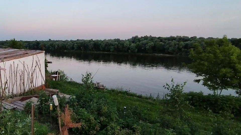 Фото: t.me/Serplife