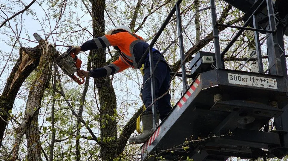 Фото: REGIONS/Екатерина Данилина