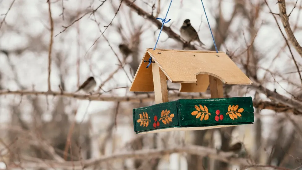 Фото: freepik.com