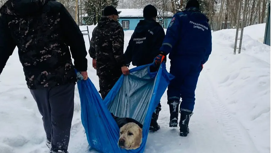 Фото: Мособлпожспас