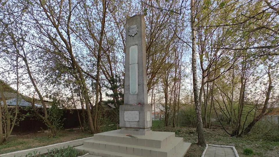 Елена Катасонова
