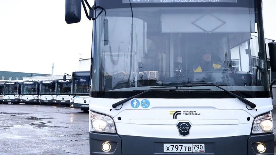 Фото: пресс-служба губернатора Московской области