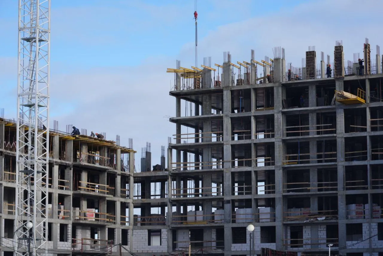 Фото: Дмитрий Зайчиков