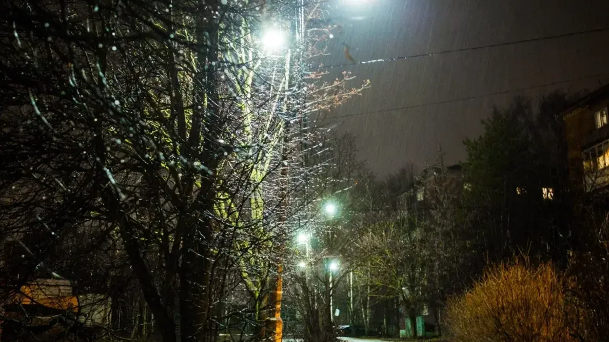 Фото: Министерство благоустройства Московской области