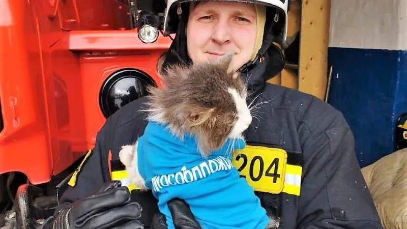 ГКУ МО "Мособлпожспас"