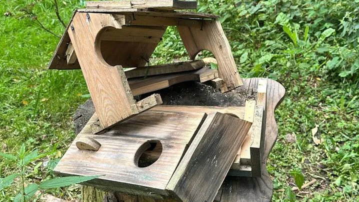 Фото: парк «Мечта»