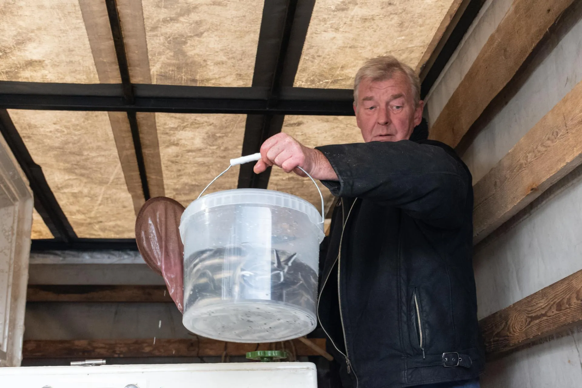 Фото: Евгений Мазепов