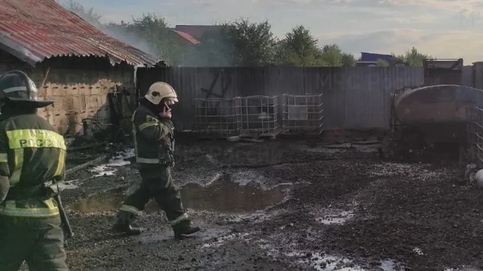 Фото: пресс-служба ГУ МЧС России по Московской области