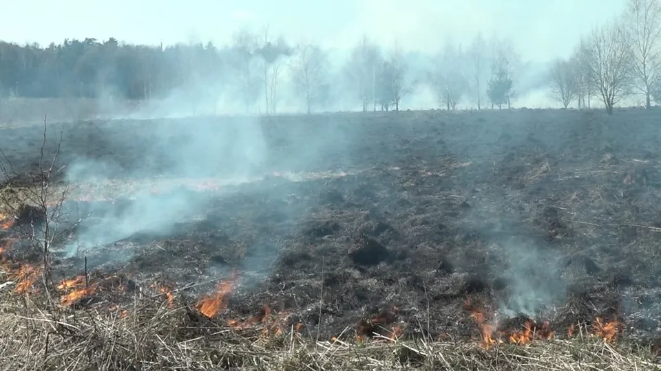 Фото: Наталия Надточая