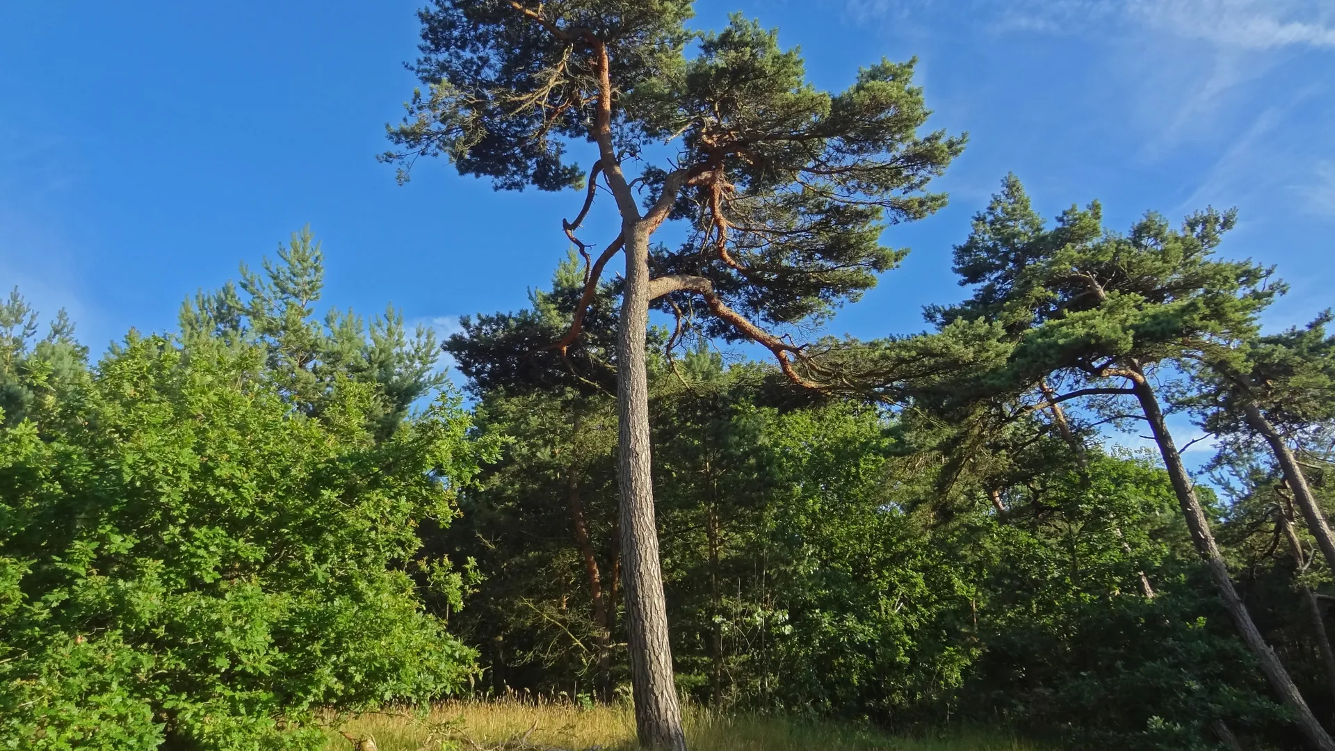 Фото: pxhere.com