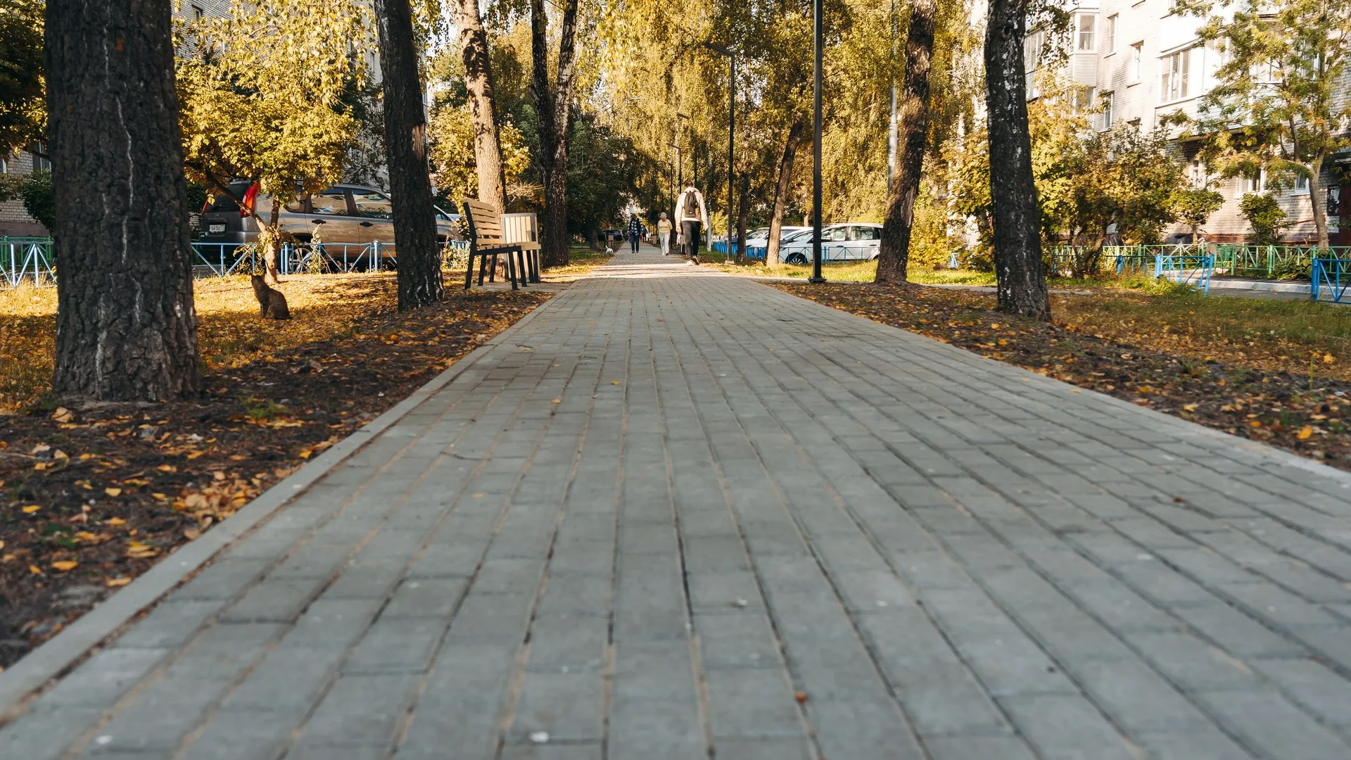 Фото: пресс-служба администрации г.о. Щелково