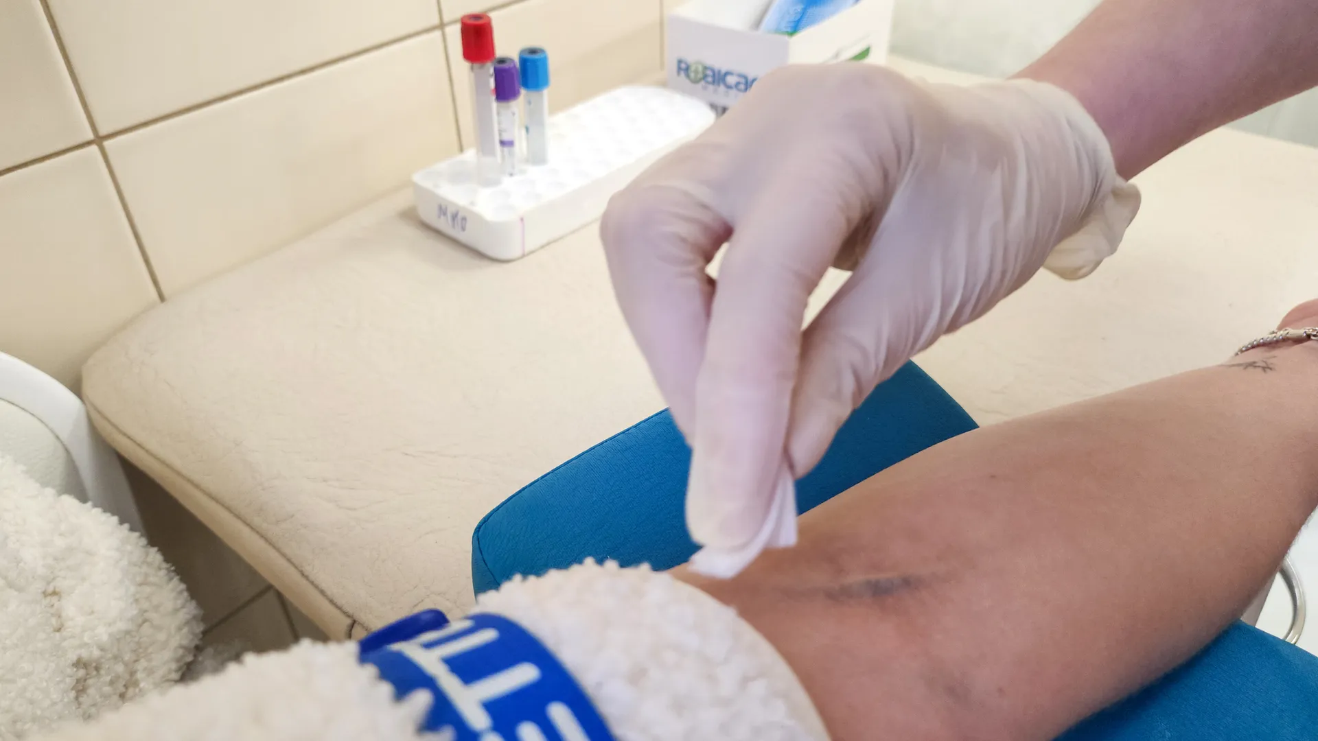 Фото: МедиаБанк Подмосковья/Мария Андрюхина