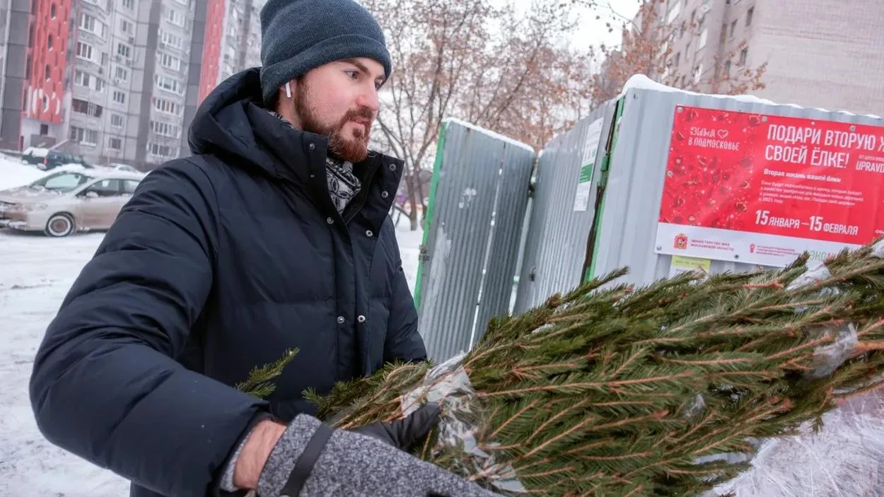 Фото: Алексей Оводов