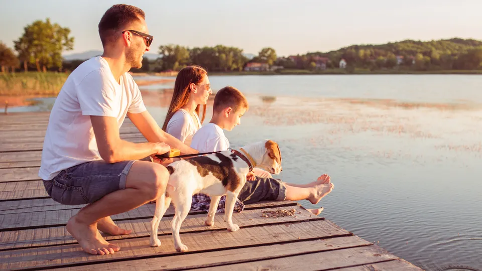 Фото: istockphoto.com