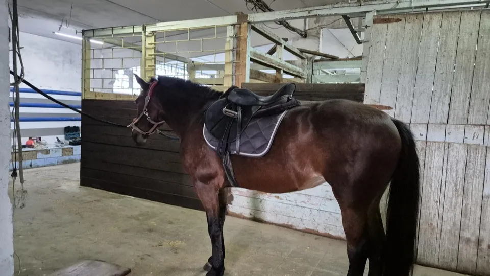 Фото: Юлия Выборова