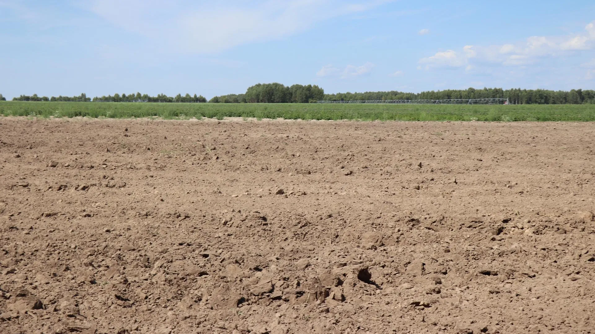 Фото: Василий Тремасов