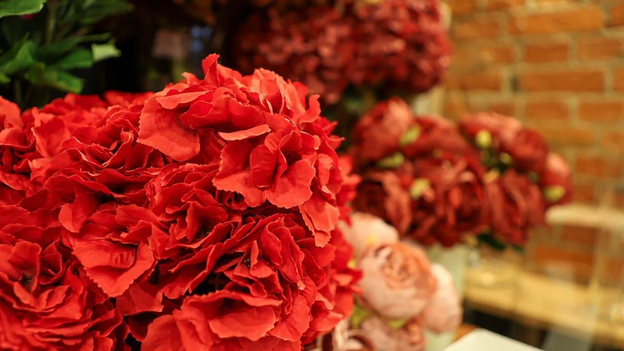 REGIONS/Роман Малышенко