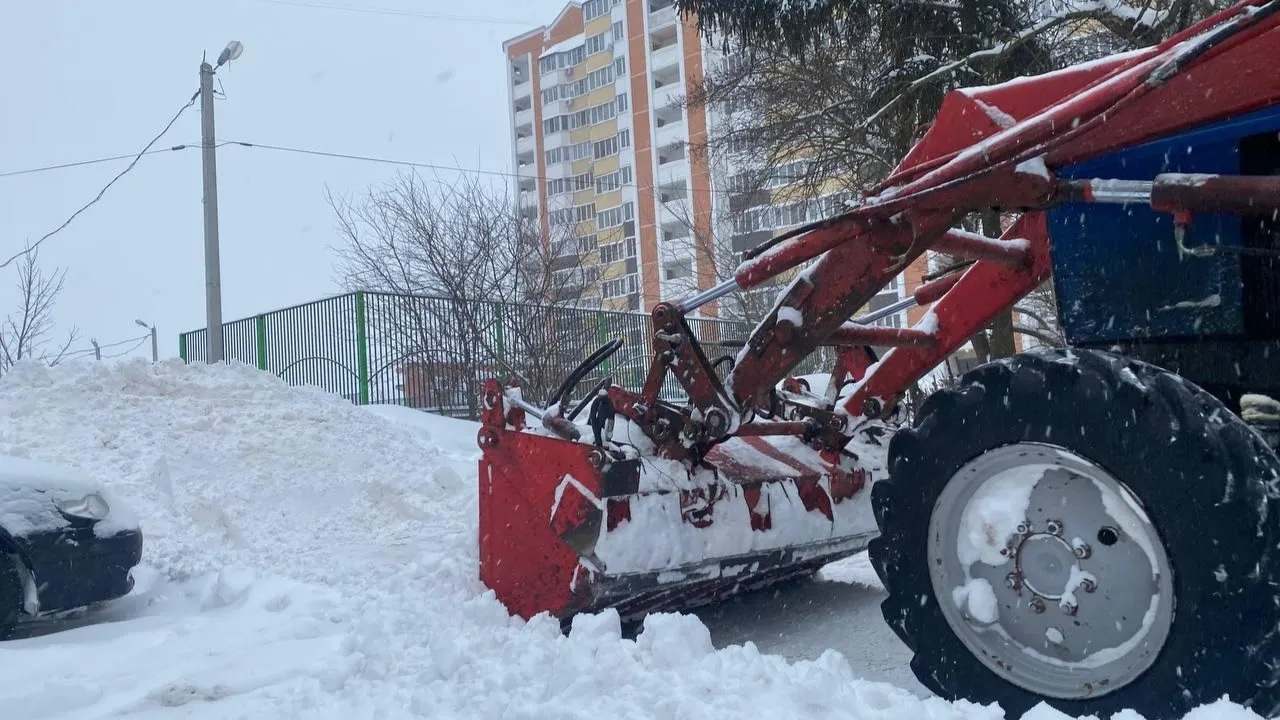 МедиаБанк Подмосковья/Анастасия Сараева