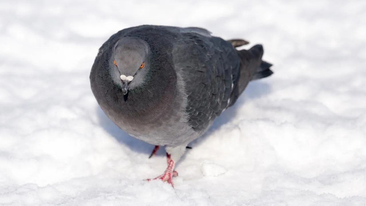 istockphoto.com/schankz