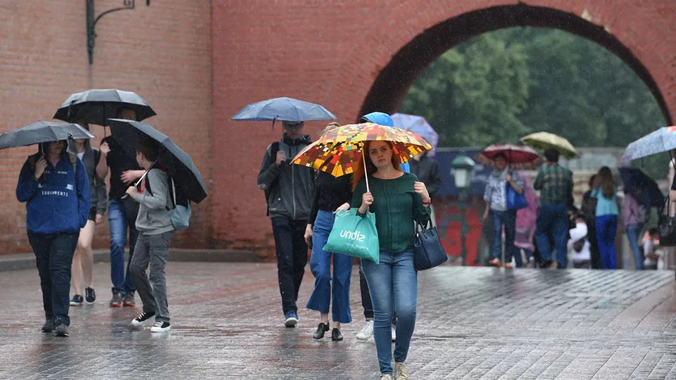 Фото: Медиаархив Подмосковья