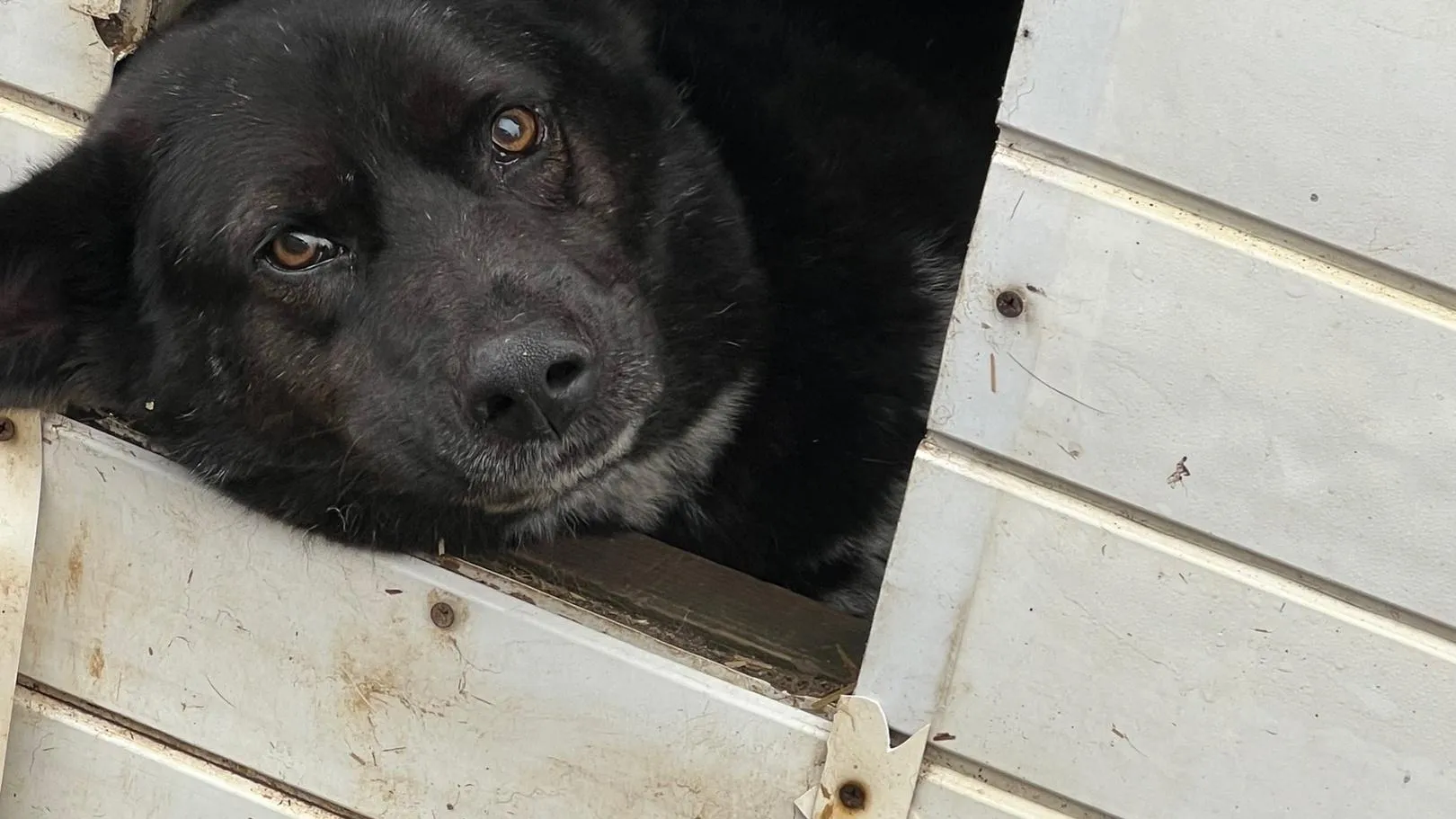 Фото: Подслушано Руза. / Вконтакте