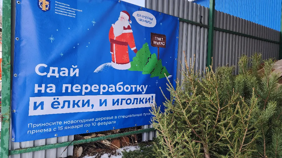 Фото: МедиаБанк Подмосковья/Валерия Тингаева