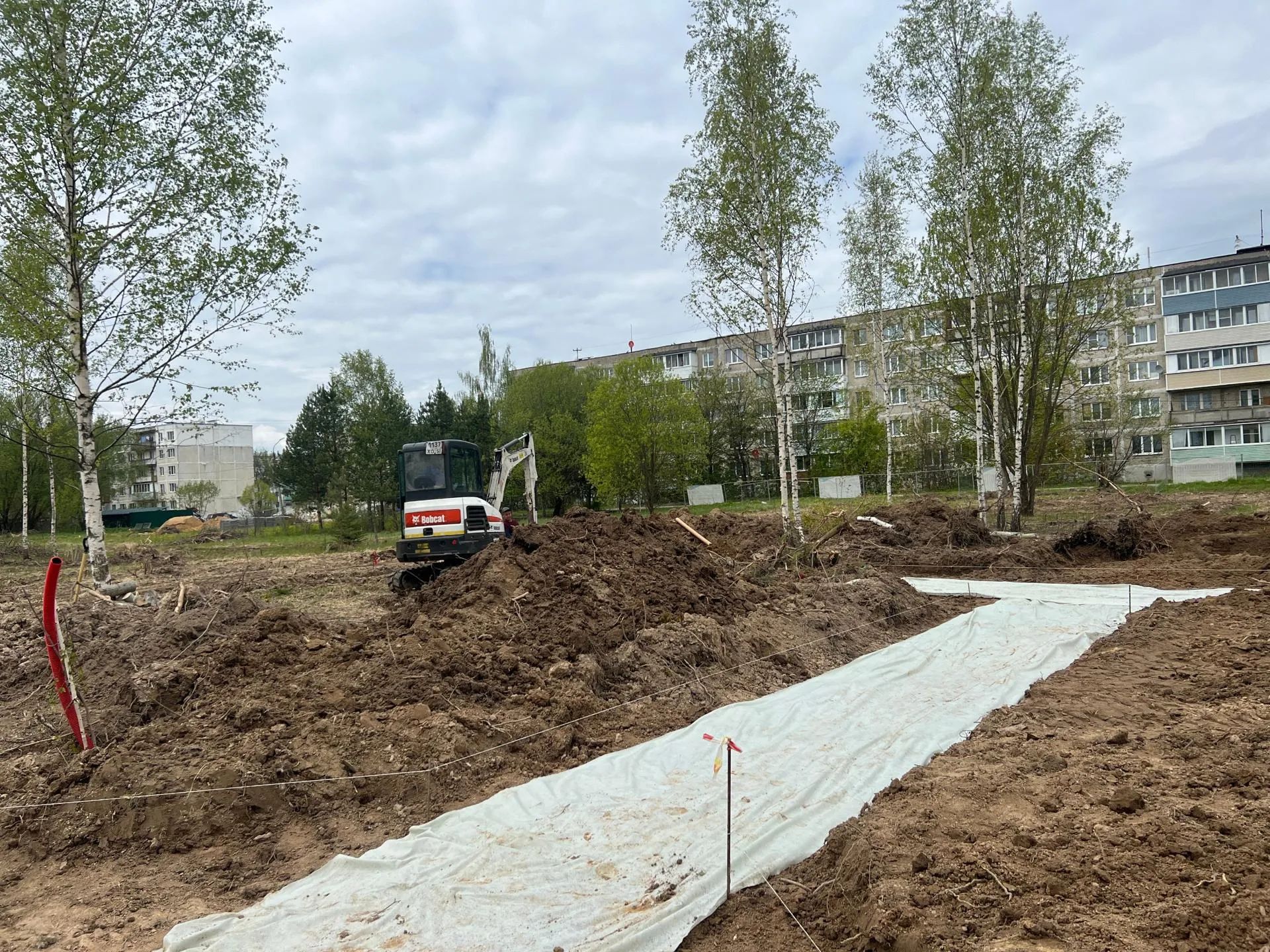 Фото: Министерство благоустройства Московской области