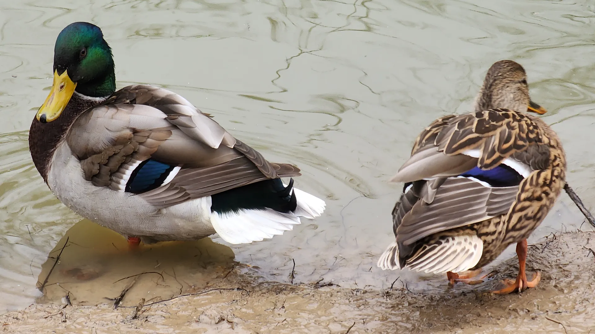 Фото: МедиаБанк Подмосковья/Наталья Дорошева