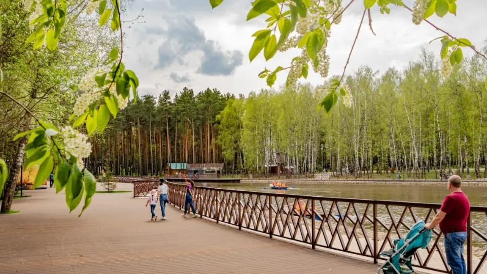 Фото: Министерство благоустройства Московской области