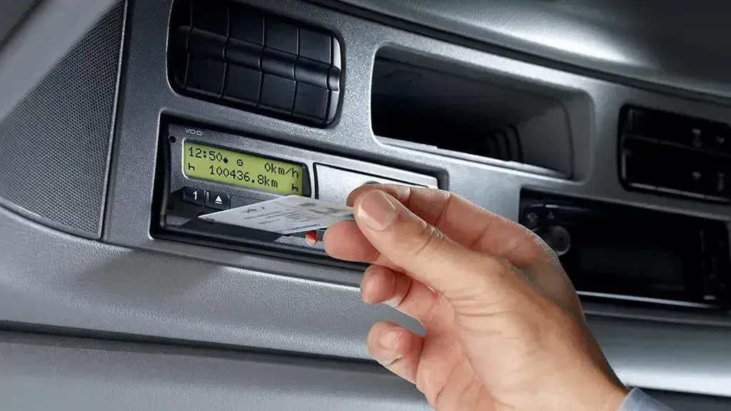 Фото:freepik.com