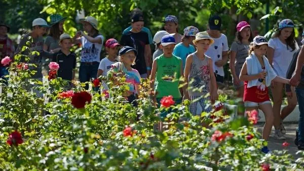 Путевки в подмосковные детские лагеря расписаны на все три смены