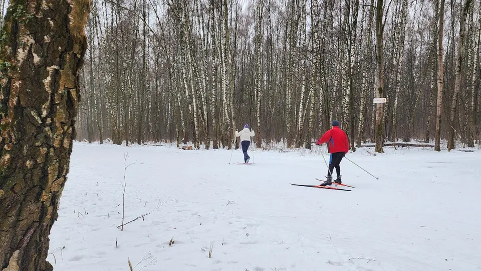 Фото: Анастасия Сараева