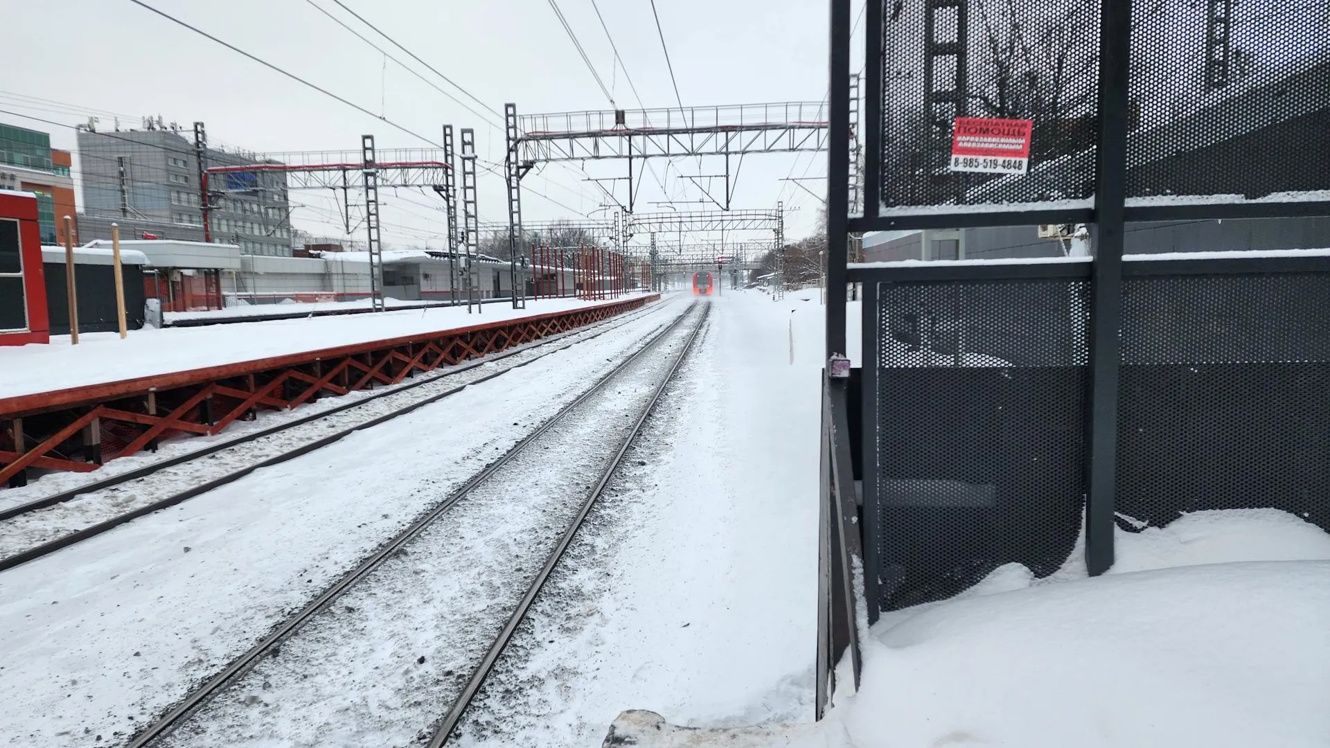 Дарья Савинова