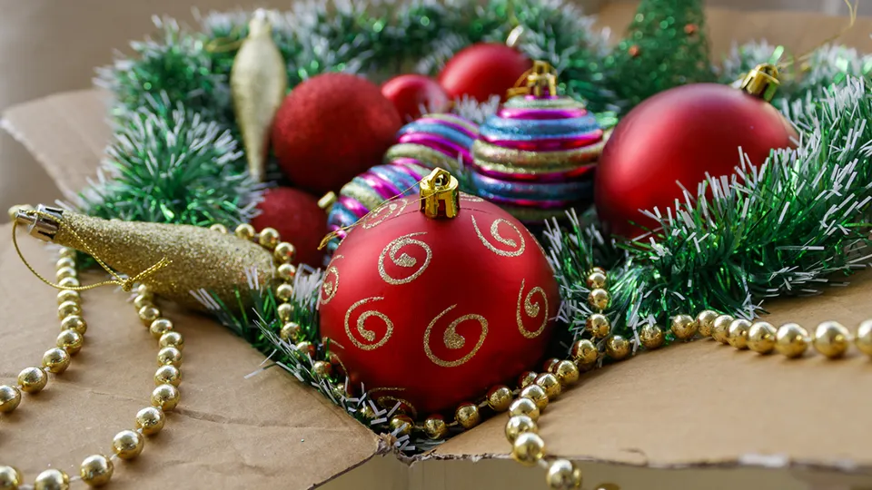 Фото: istockphoto.com/Olga Donchuk