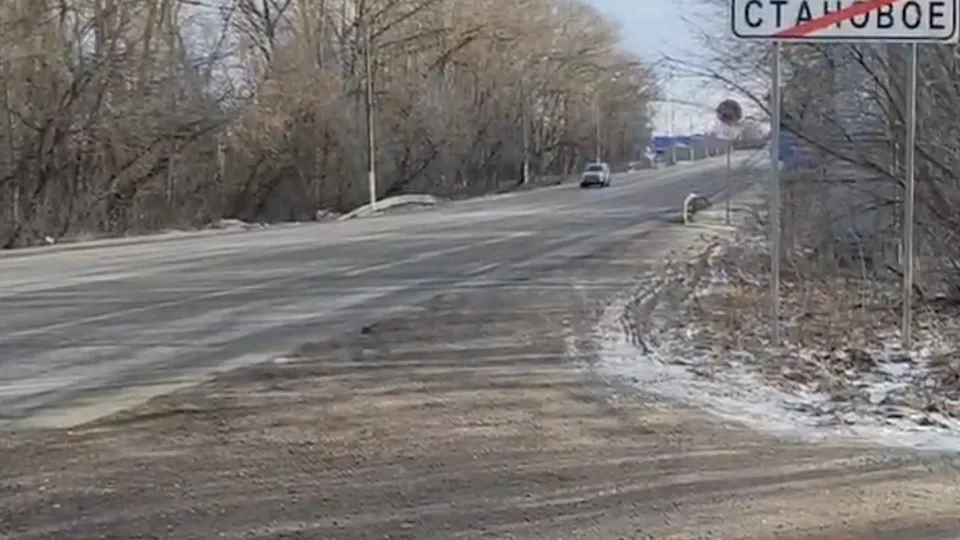 Фото: МедиаБанк Подмосковья/Ольга Антонова