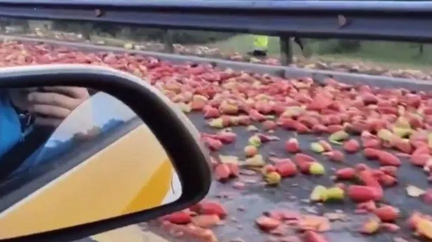 REGIONS/Cоздано нейросетью