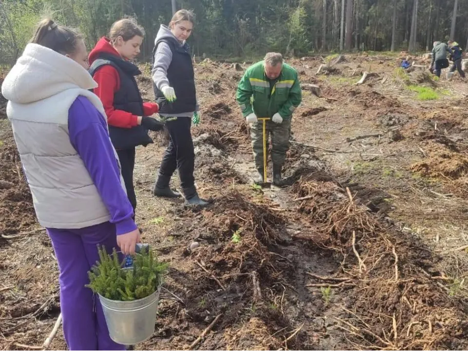 Фото: Комитет лесного хозяйства МО