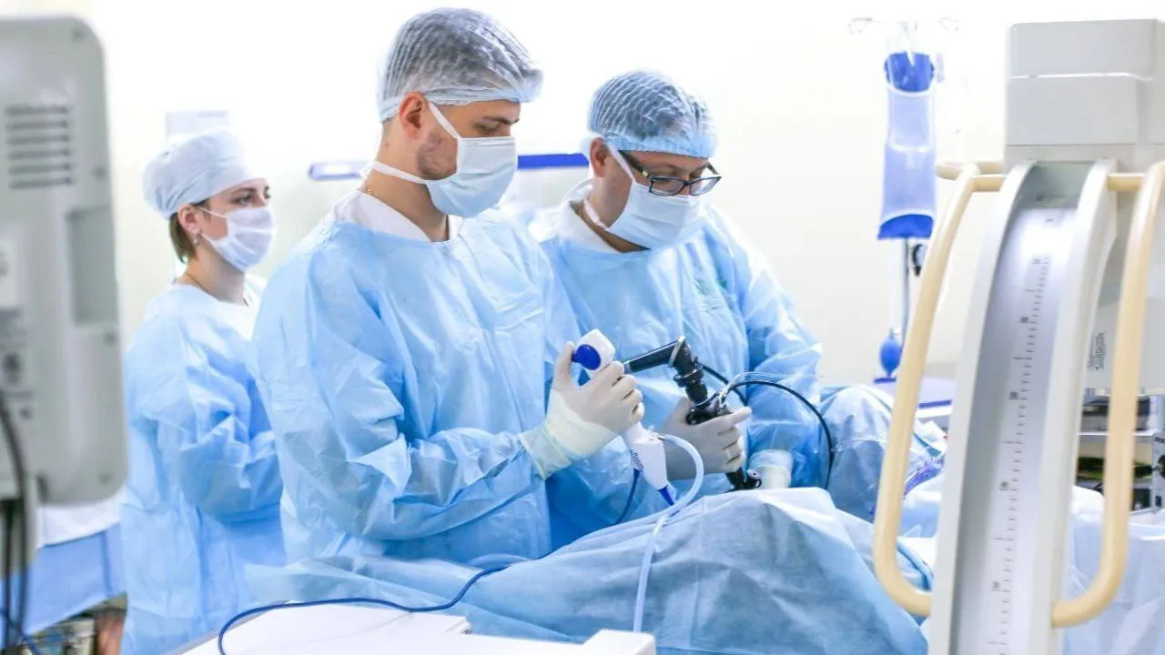 Фото: пресс-служба губернатора и правительства Московской области