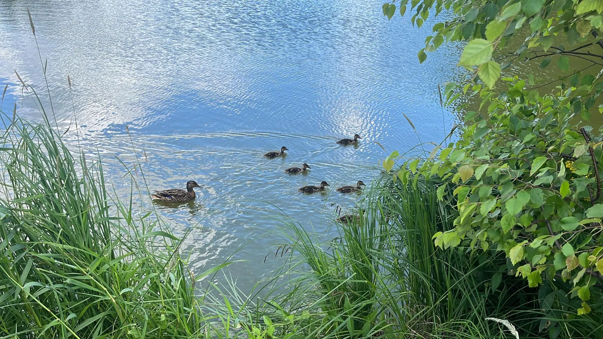 Фото: Елизавета Приймак