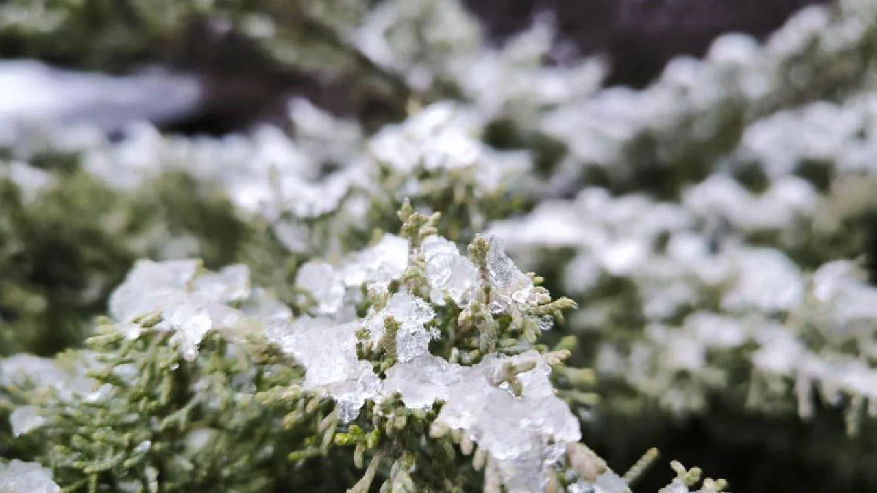 REGIONS/Роман Малышенко