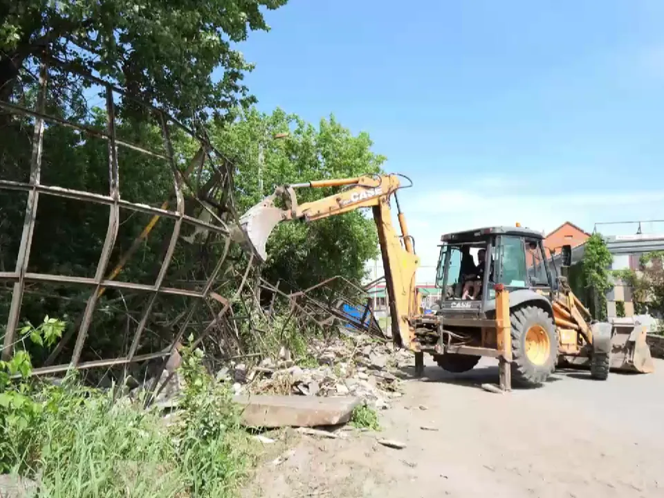 Фото: пресс-служба администрации г.о. Люберцы