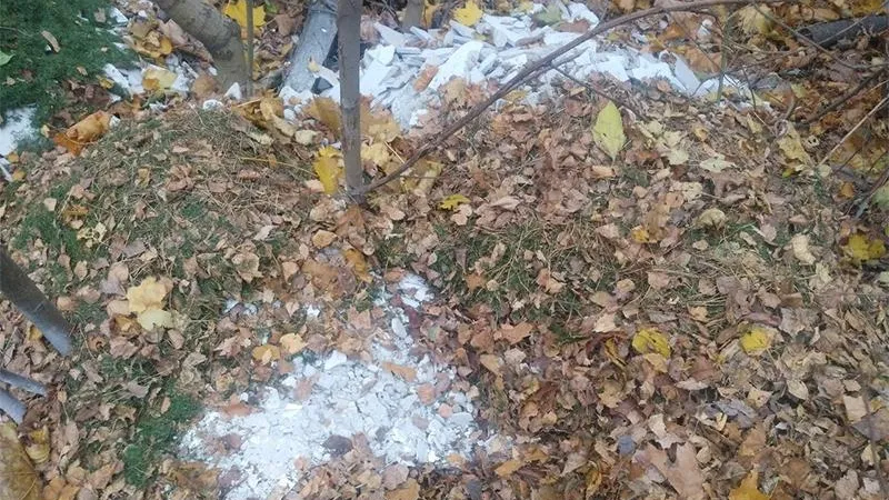 Жители Королева «сэкономили» на уборке, прикрыв строительный мусор листвой
