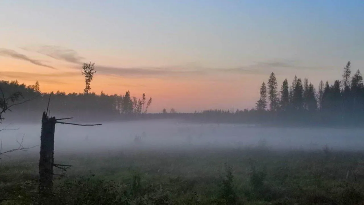 REGIONS/Роман Малышенко